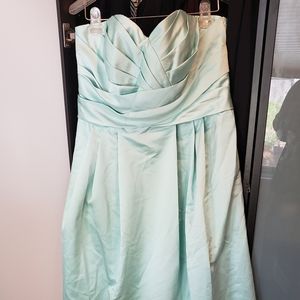 David's Bridal bridesmaids  dress